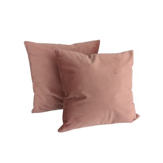 Lot de 2 coussins déco 45x45 velour Poudre